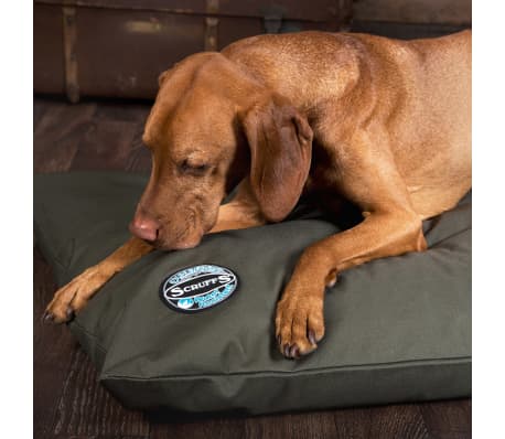 Scruffs & Tramps Coussin Mémoire de forme pour chien Expedition Olive