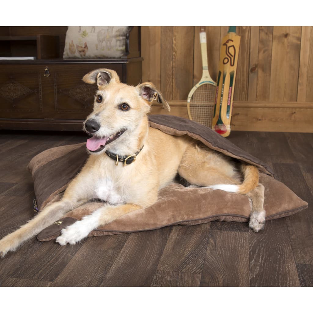

Scruffs & Tramps Hondenmatras Chester Divan maat M chocoladebruin 3913