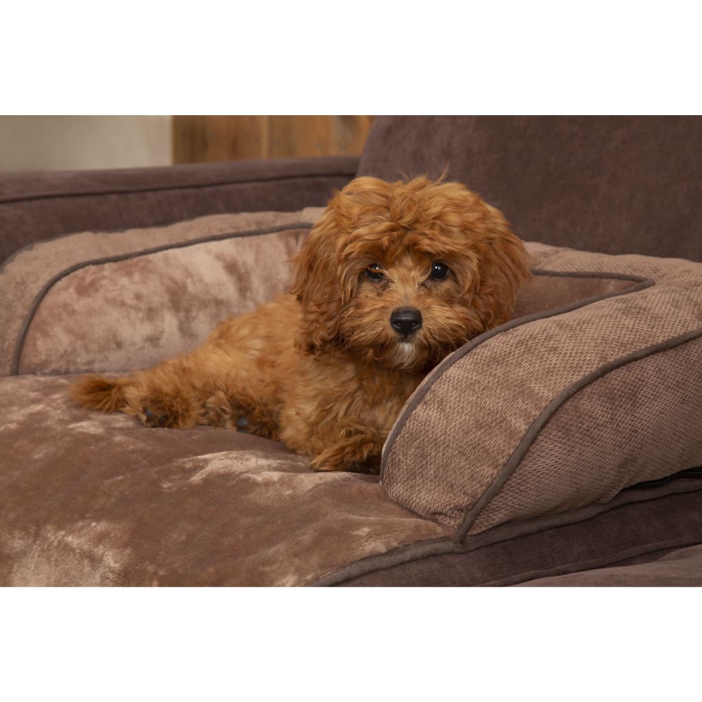 

Scruffs Dierenmand Chester L bruin