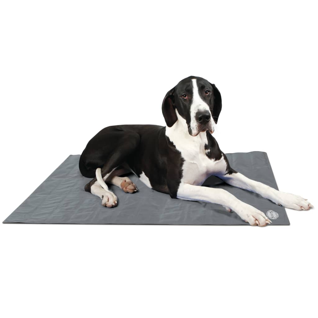 Scruffs & Tramps Kühlmatte für Hunde Grau Größe XL 2719