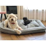 Hundebett W02 XL Grau/Schwarz
