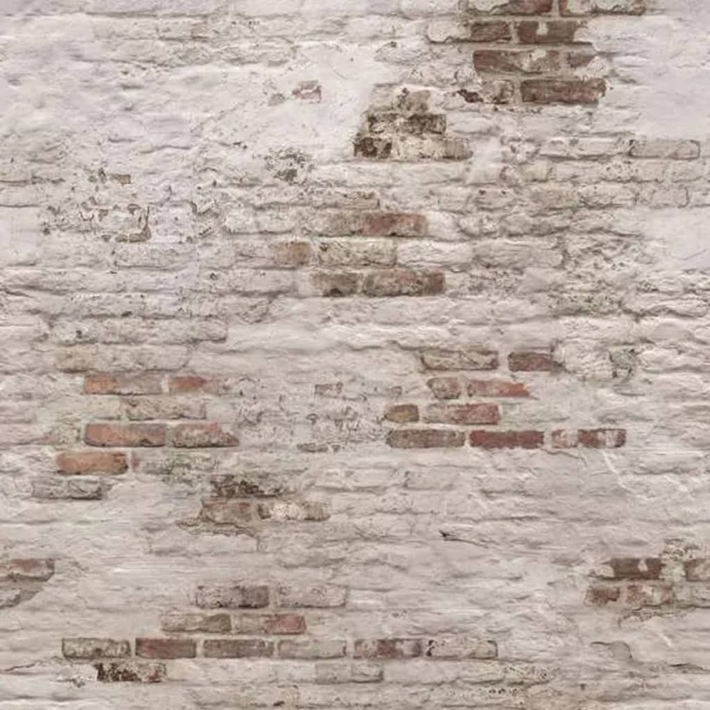 DUTCH WALLCOVERINGS Fototapete Old Brick Wall Beige and Braun kaufen