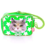 Bowbag Kitty