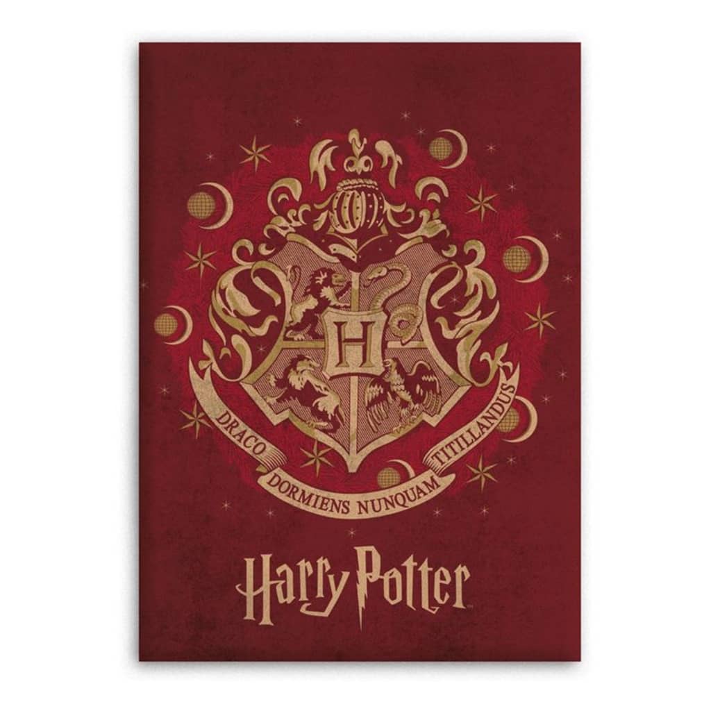 Harry Potter fleece plaid - 100% polyester - 110x140 cm - Rood