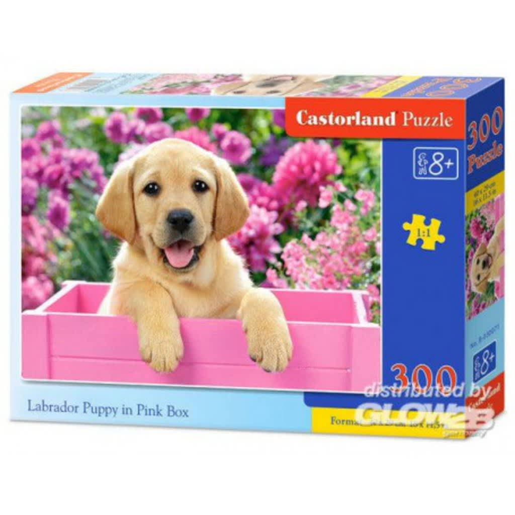 Castorland legpuzzel Labrador Puppy in Pink Box 300 stukjes