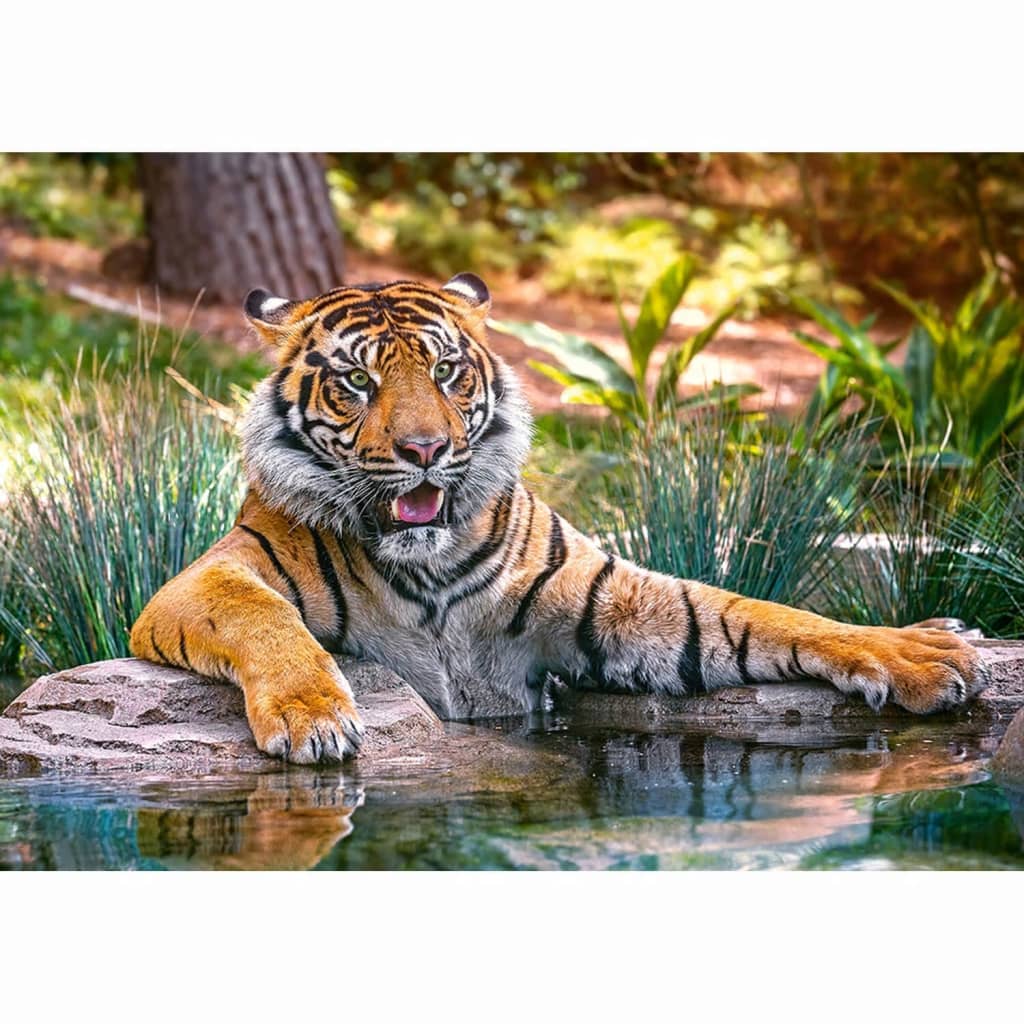 Afbeelding Castorland legpuzzel Sumatran Tiger 500 stukjes door Vidaxl.nl
