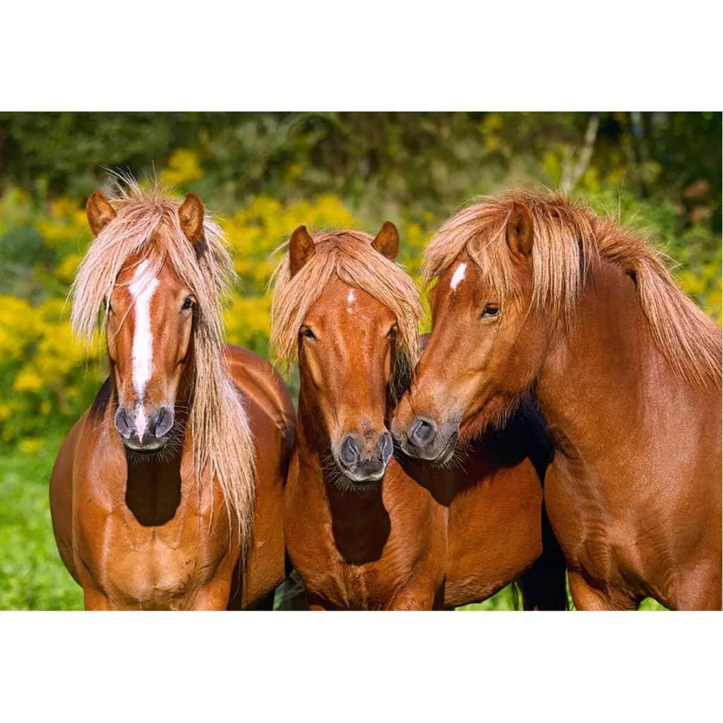 Castorland legpuzzel Horse Friends 1000 stukjes