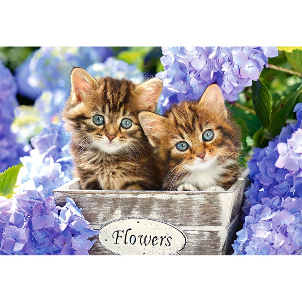 Castorland legpuzzel Cute kittens 1500 stukjes