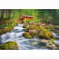 Castorland Legpuzzel Watermill 1500 Stukjes castorland kopen in de aanbieding