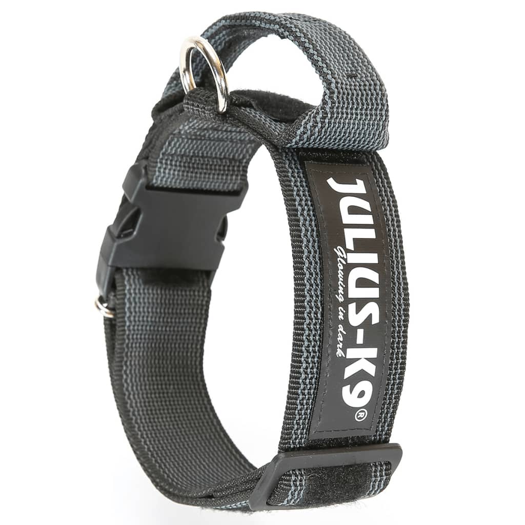 

Julius K9 Hondenhalsband 50 mm 49-70 cm zwart 200HA-K-2015