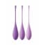 Pipedream Kegel Train Her Set Purple pipedream kopen in de aanbieding