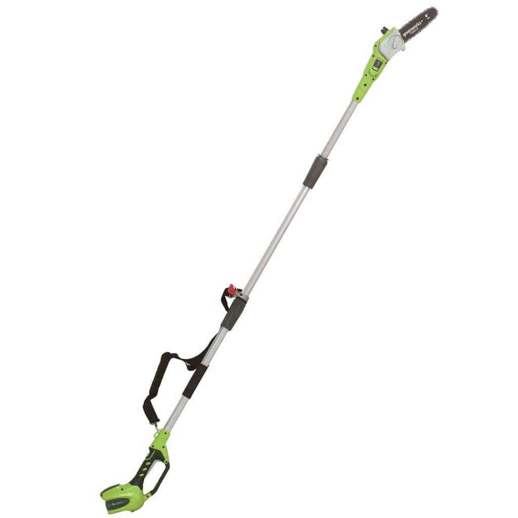 Greenworks Takkenzaag zonder 40 V accu G40PS20 20 cm 20157 online kopen