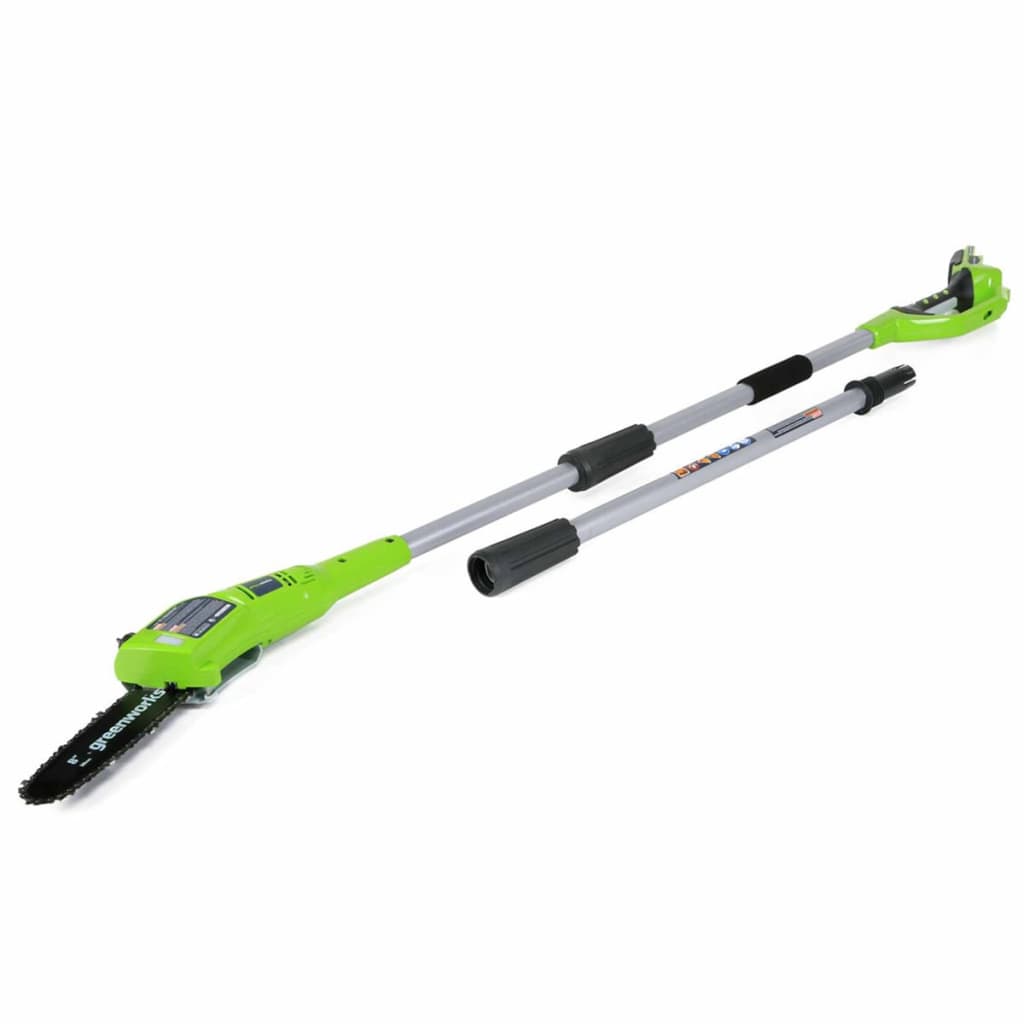 Greenworks Takkenzaagset met 24 V 2 Ah accu G24PS20 20 cm 2000107UA