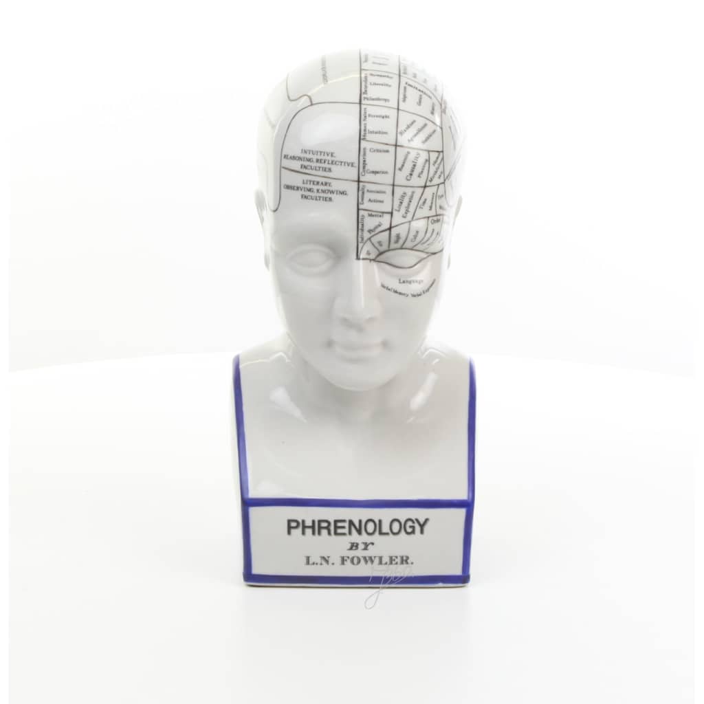 Not Specified Porseleinen Frenologie Hoofd huismerk kopen in de aanbieding Not Specified Porseleinen Frenologie Hoofd huismerk kopen in de aanbieding