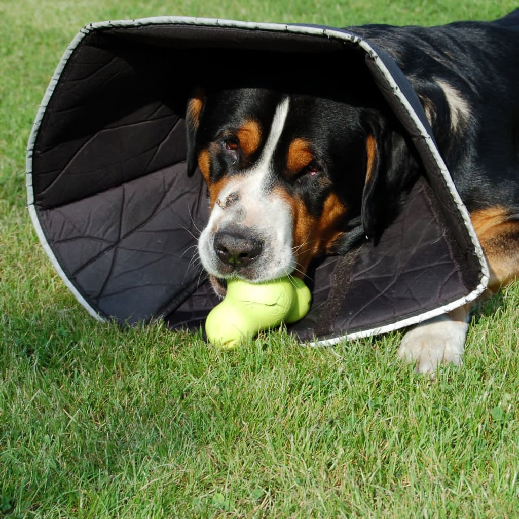 

All Four Paws E-halsband Comfy Cone XL 30 cm zwart