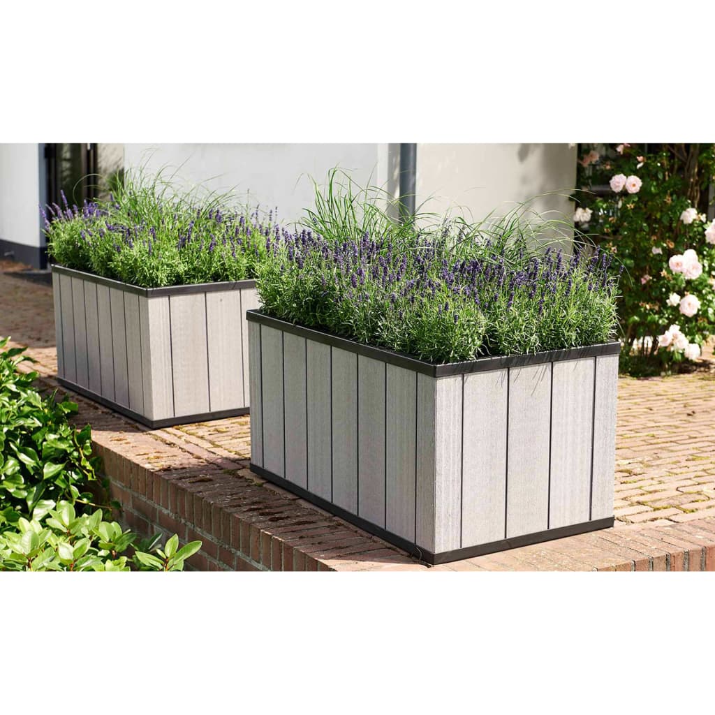 Garden Planter Sequoia Medium Grey PP 240929 Keter 19 width=274