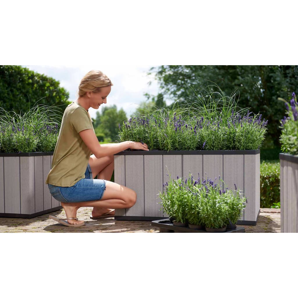 Garden Planter Sequoia Medium Grey PP 240929 Keter 20 width=274