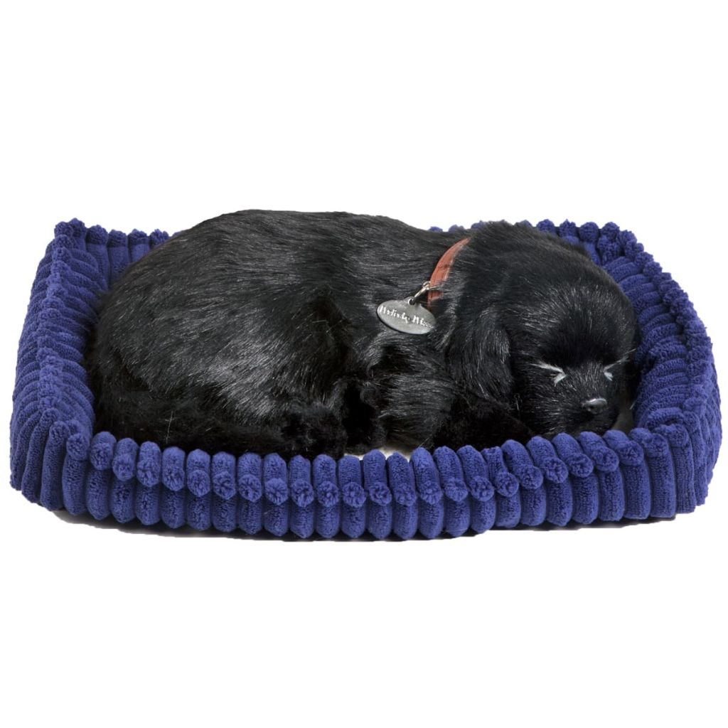 VidaXL - Perfect Petzzz Labrador zwart 96323