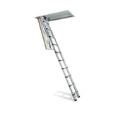 Echelle télescopique pour toit 2,5-3 m noir