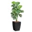 Htt Decorations Kunstplant Monstera Met Sierpot Genesis36 Antraciet htt decorations kopen in de aanbieding