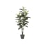 Htt Decorations Kunstplant Ficus Elastica 130X50 Cm htt decorations kopen in de aanbieding Htt Decorations Kunstplant Ficus Elastica 130X50 Cm htt decorations kopen in de aanbieding