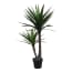 Htt Decorations Kunstplant Yucca 120X50 Cm htt decorations kopen in de aanbieding