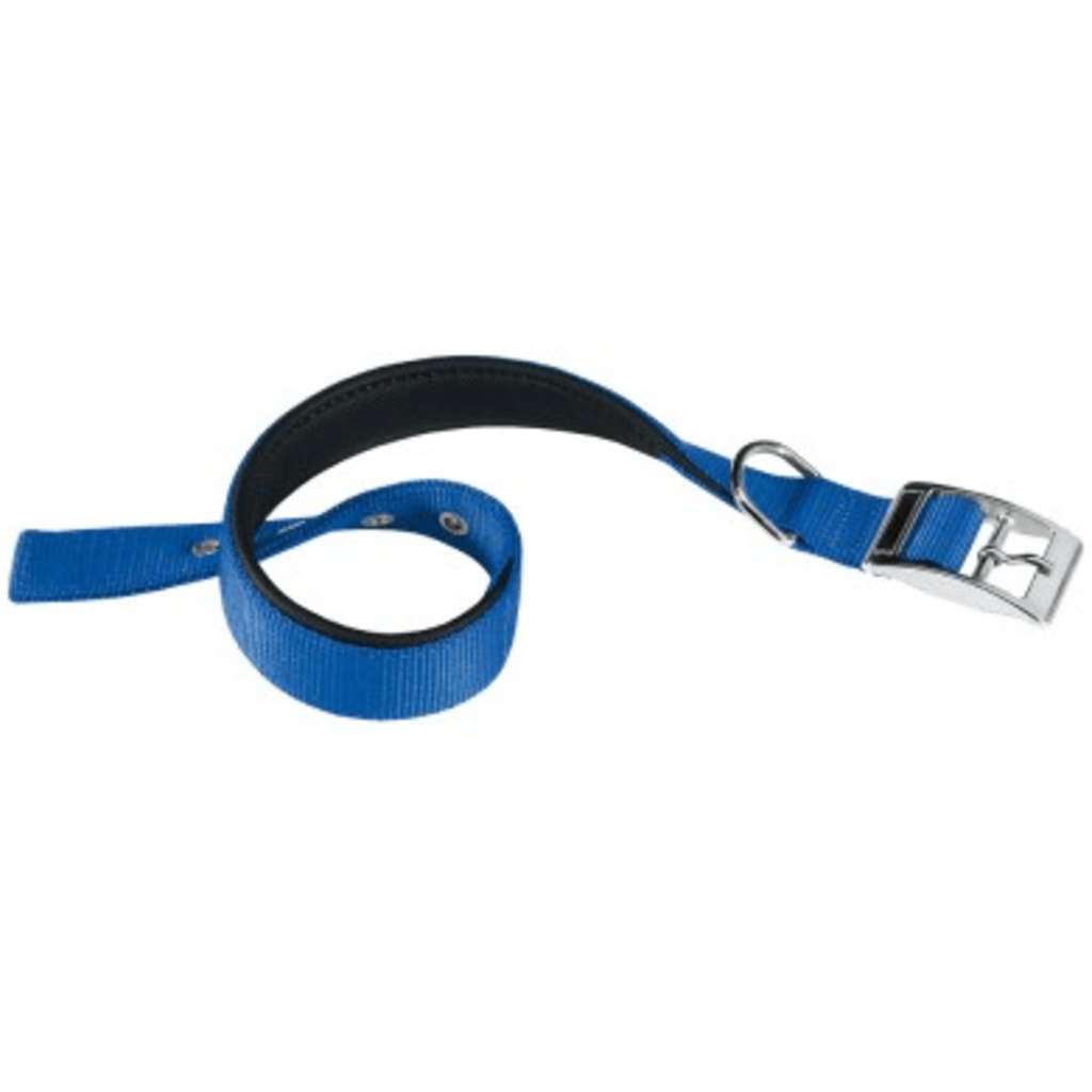 Afbeelding Ferplast Daytona C Blauw A: 37 tot 45cm Hondenhalsband & -tuig door Vidaxl.nl