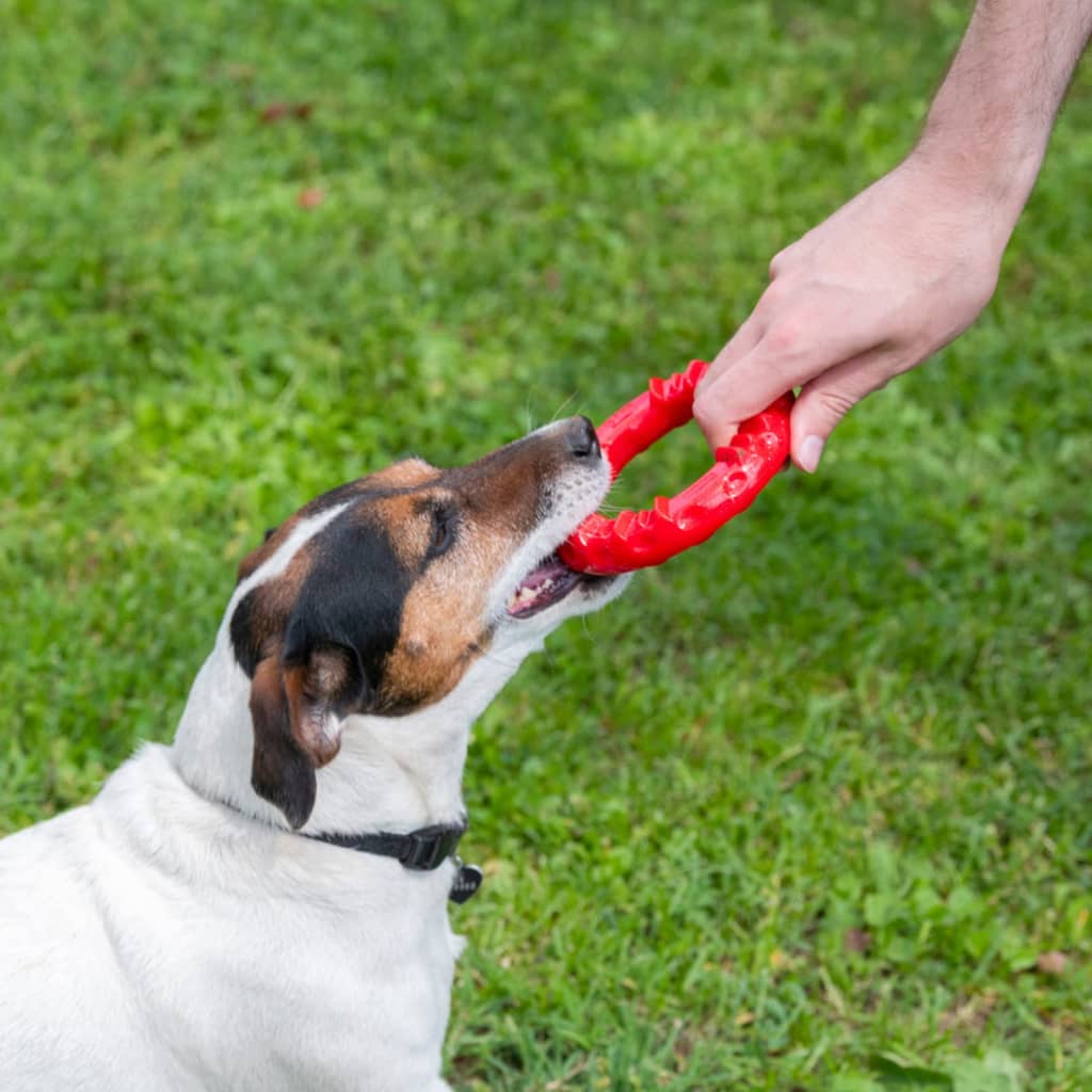 Ferplast Kauwspeeltje voor honden Smile medium rood