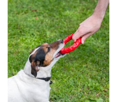 Ferplast Tandleksak för hund Smile röd