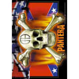 Pantera - Flag & Skull -Flag