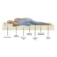 Trendzzz Boxspring Hotel 140X200 Incl 7 Zones Pocketvering Matras trendzzz kopen in de aanbieding Trendzzz Boxspring Hotel 140X200 Incl 7 Zones Pocketvering Matras trendzzz kopen in de aanbieding