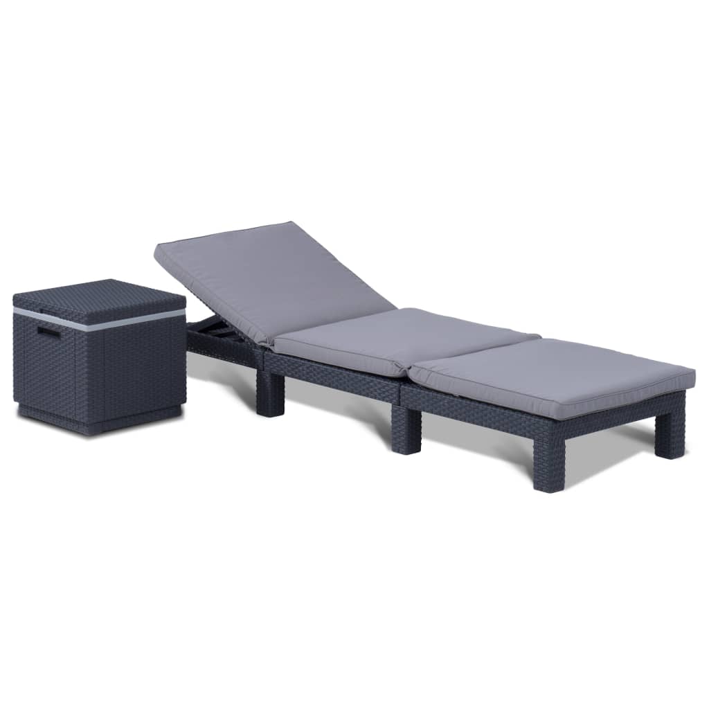 Afbeelding Daytona sunlounger antraciet door Vidaxl.nl