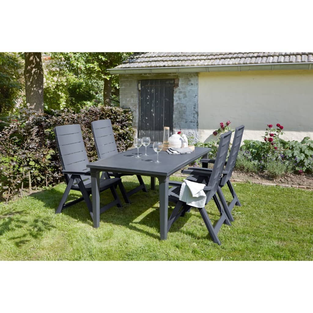 VidaXL - Allibert Verstelbare tuinstoelen Brasilia 2 stuks grafiet 222970