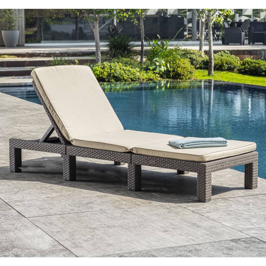 Keter Sunlounger with Cushion Daytona Cappuccino vidaXL