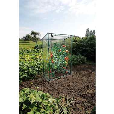 Nature Estufa para tomates 100 x 50 x 150 cm 6020401[2/3]