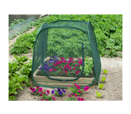 Nature Popup Gewächshaus 100 x 100 x 100 cm 6020409 im vidaXL