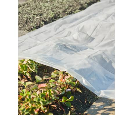 Nature Pflanzfolie 3x4 m 100&micro; Transparent