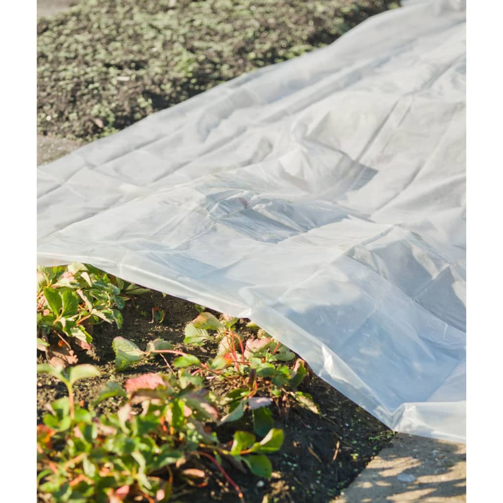 Nature Plantenhoes 4x6 m 100µ transparant afbeelding