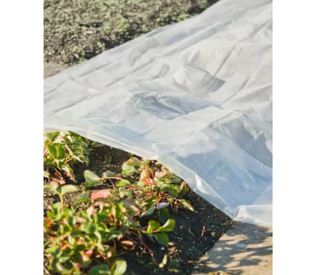 Nature Cobertor para plantas transparente 3x4 m 200&micro;