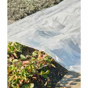 Nature Cobertor para plantas transparente 3x4 m 200&micro;