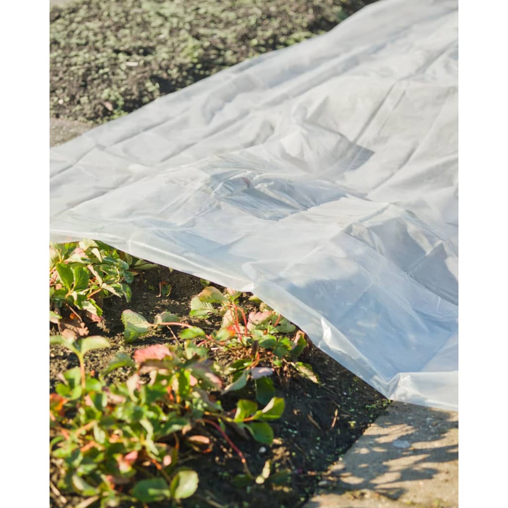 Nature Plantenhoes 4x6 m 200µ transparant afbeelding