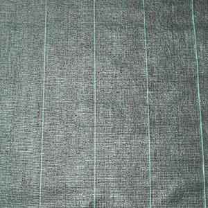 Nature umbrohu kangas 1 x 50 m, must