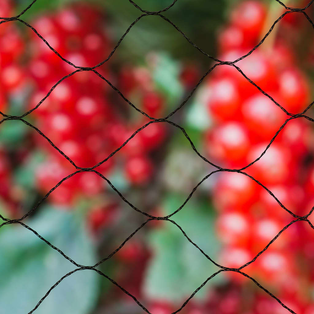 Afbeelding Nature Tuinnet Primo Zwart - Kweekbenodigdheden - 1000x1000 cm door Vidaxl.nl