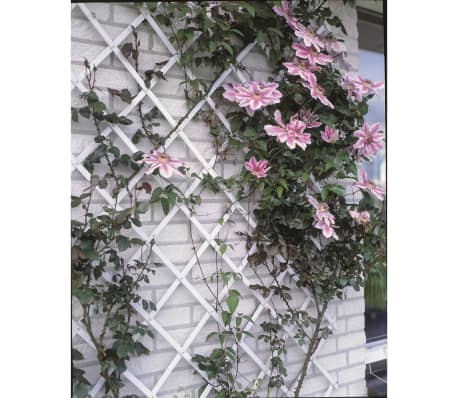 Nature Hageespalier 50x150 cm PVC hvit 6040701