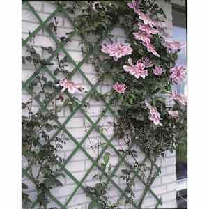 Nature Garden Trellis 50x150 cm PVC Green 6040702