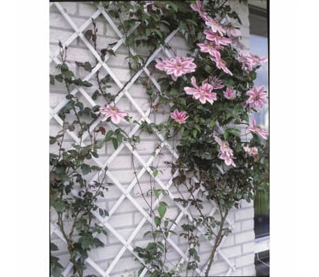 Nature Hageespalier 100x200 cm PVC hvit 6040703