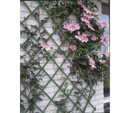 Nature Καφασωτό Κήπου Πράσινο 100 x 200 εκ. από PVC 6040704