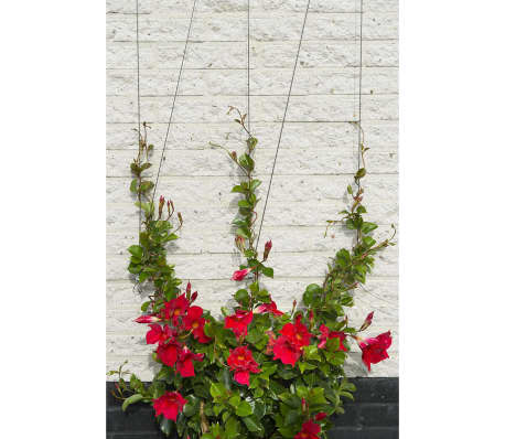 419738 Nature Wire Trellis Set for Climbing Plants 6040760