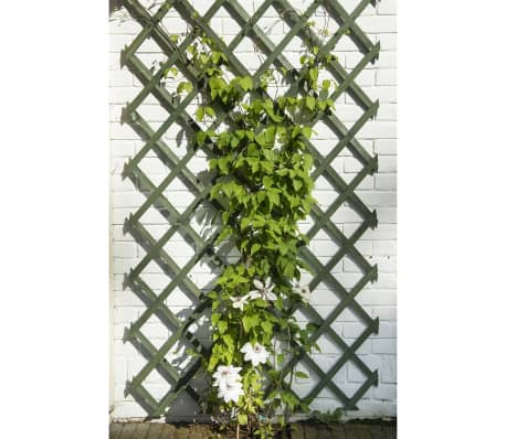 Nature Hageespalier 50x150 cm tre grønn