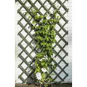 Nature Hageespalier 50x150 cm tre grønn